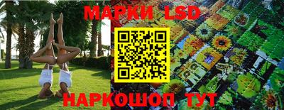 скорость Будённовск