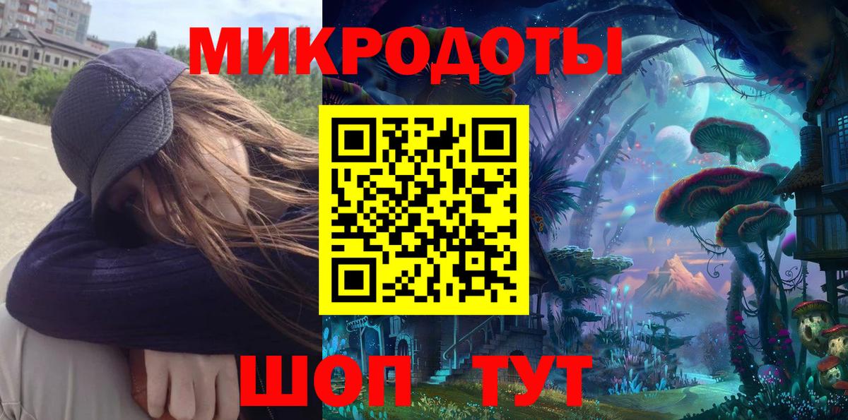 Галлюциногенные грибы Psilocybine cubensis Новороссийск