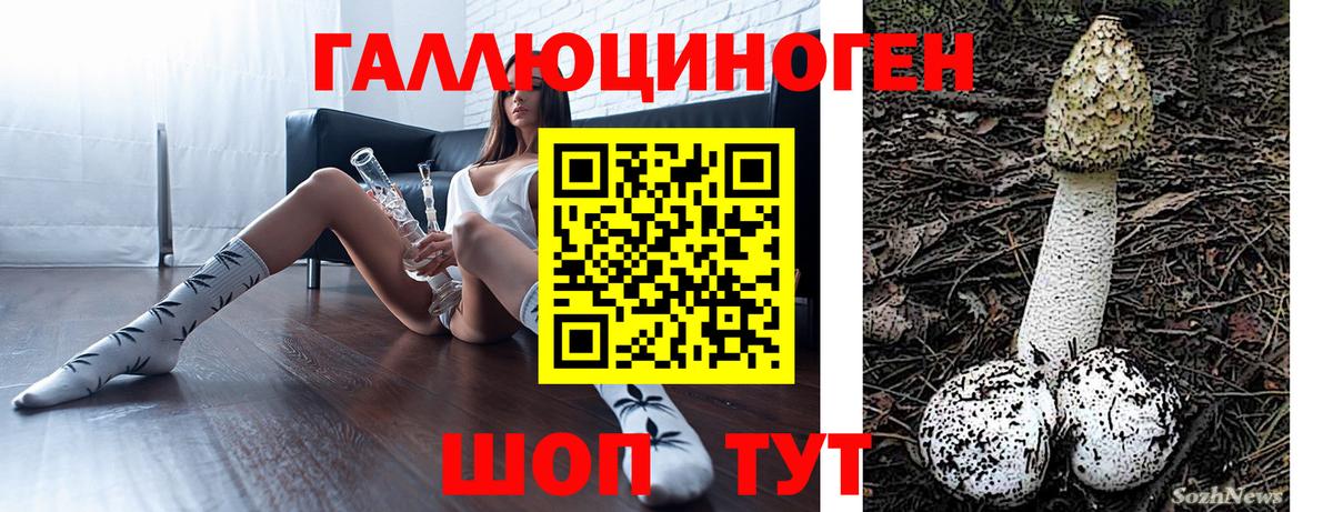 Галлюциногенные грибы прущие грибы  Галлюциногенные грибы мухоморы  Новороссийск  Вход с VPN 